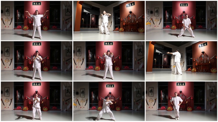 Learn Xi Sui Jing Online
