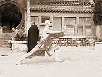 Jin Gang Quan